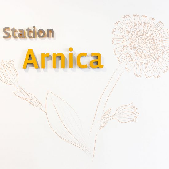 Station Arnica mit Blume